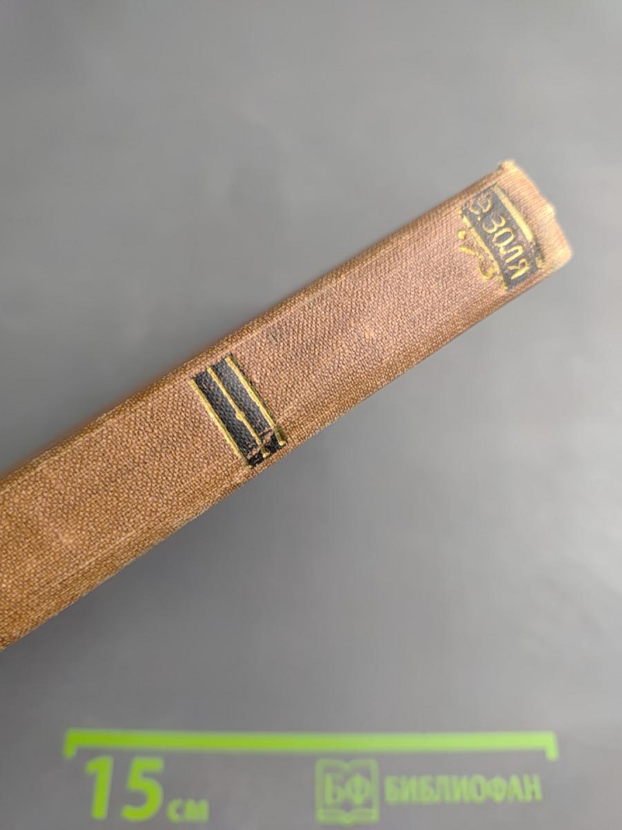 Чрево Парижа. Том 2