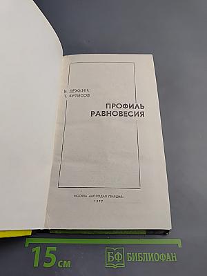 Профиль равновесия