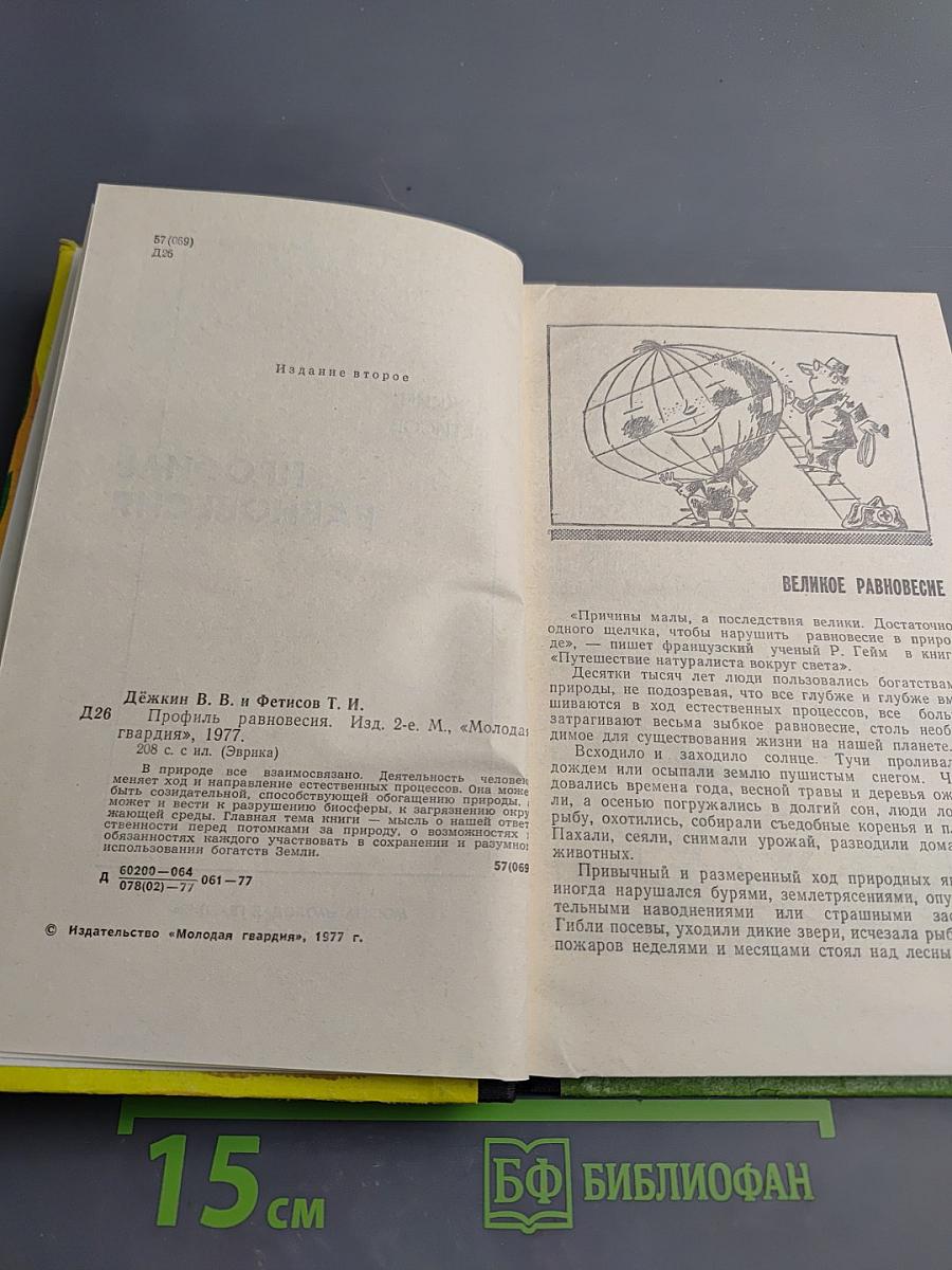 Профиль равновесия