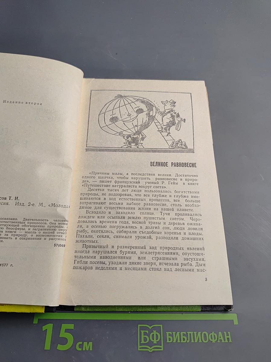 Профиль равновесия