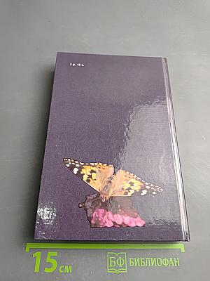 В поисках Аполлона