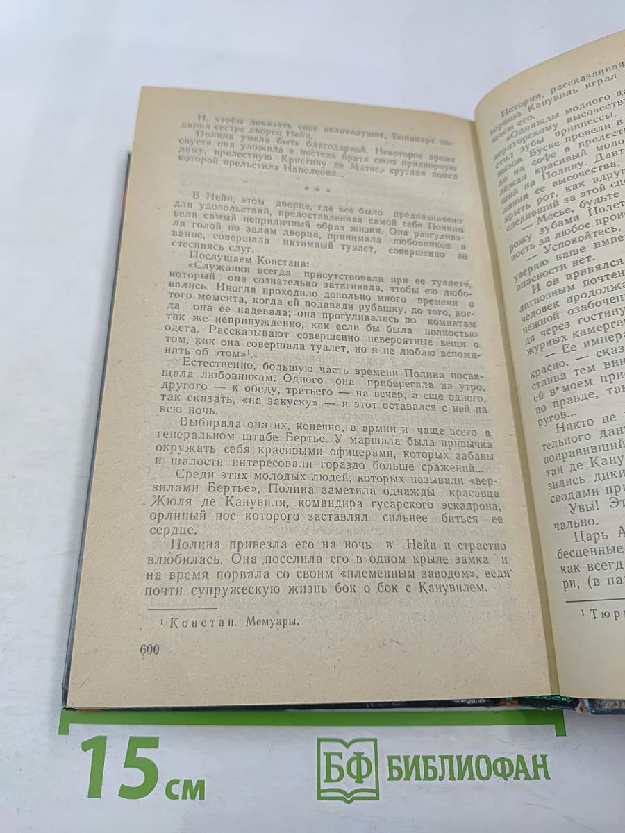 Истории любви в истории Франции. Книга 4