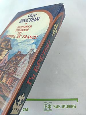 Истории любви в истории Франции. Книга 4