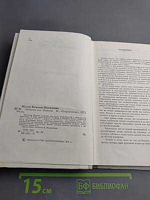 Забытый сон