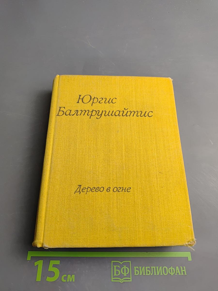 Дерево в огне