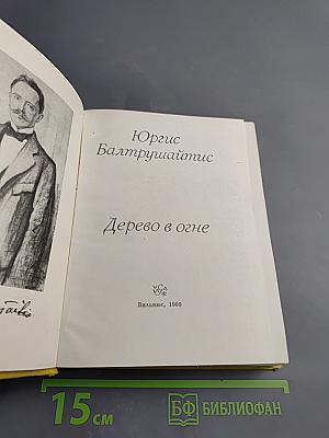 Дерево в огне