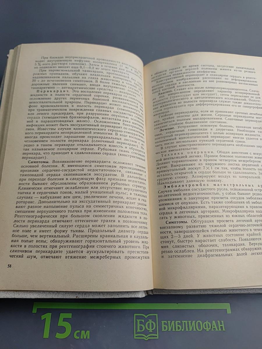 Болезни собак: Справочник