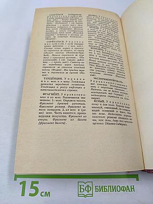 Словарь трудностей русского языка