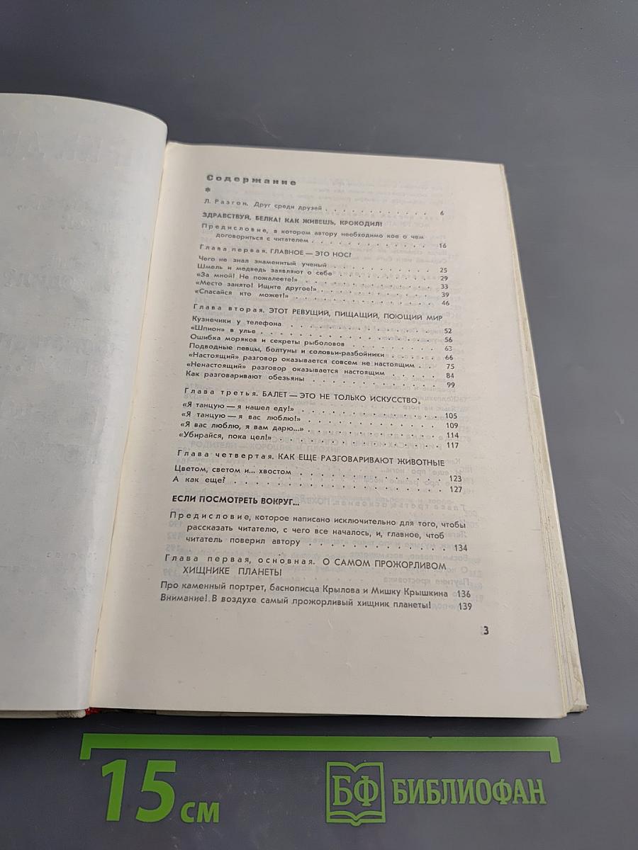 Если посмотреть вокруг...