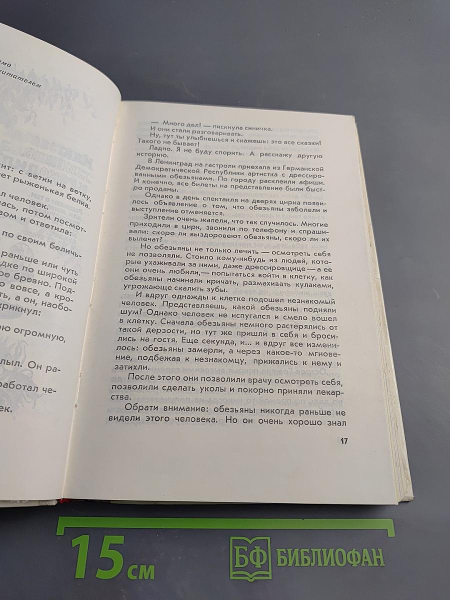 Если посмотреть вокруг...