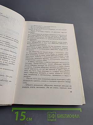 Если посмотреть вокруг...