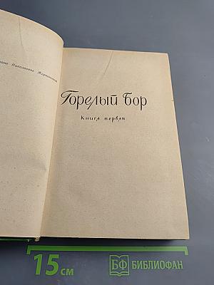 Горелый бор