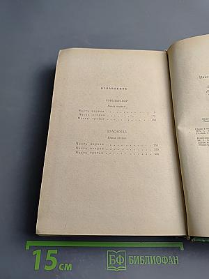 Горелый бор