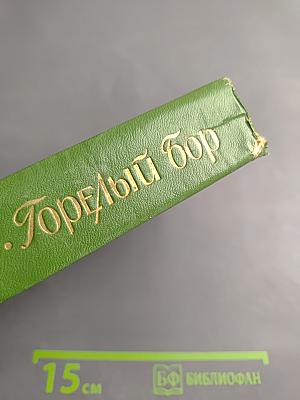 Горелый бор