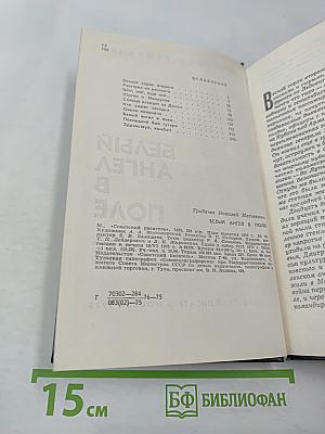 Белый ангел в поле