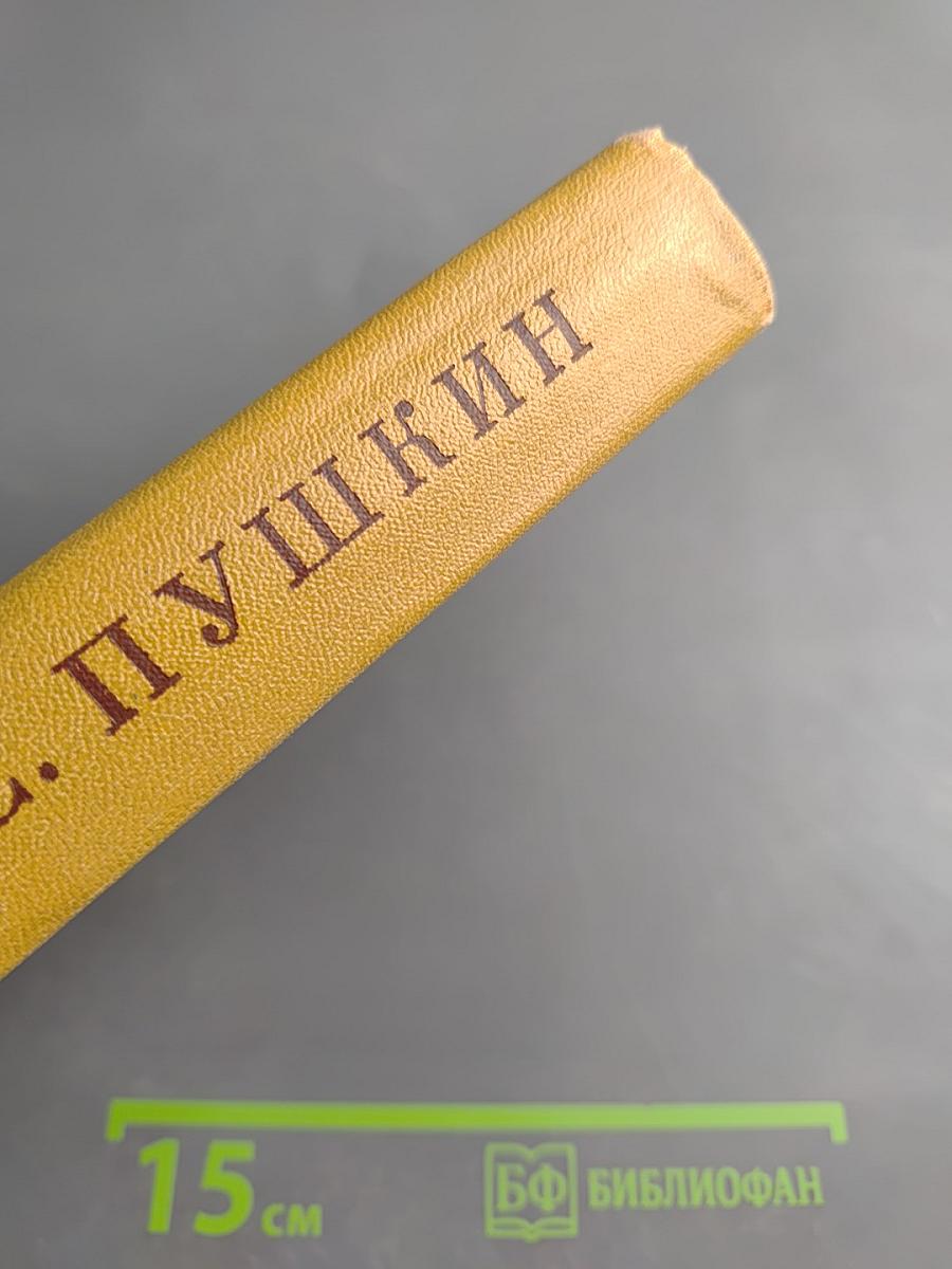 Полное собрание сочинений в десяти томах. Том IX. История Петра. Заметки о Камчатке