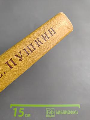 Полное собрание сочинений в десяти томах. Том IX. История Петра. Заметки о Камчатке