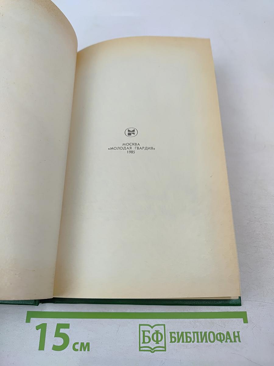 Сова Минервы