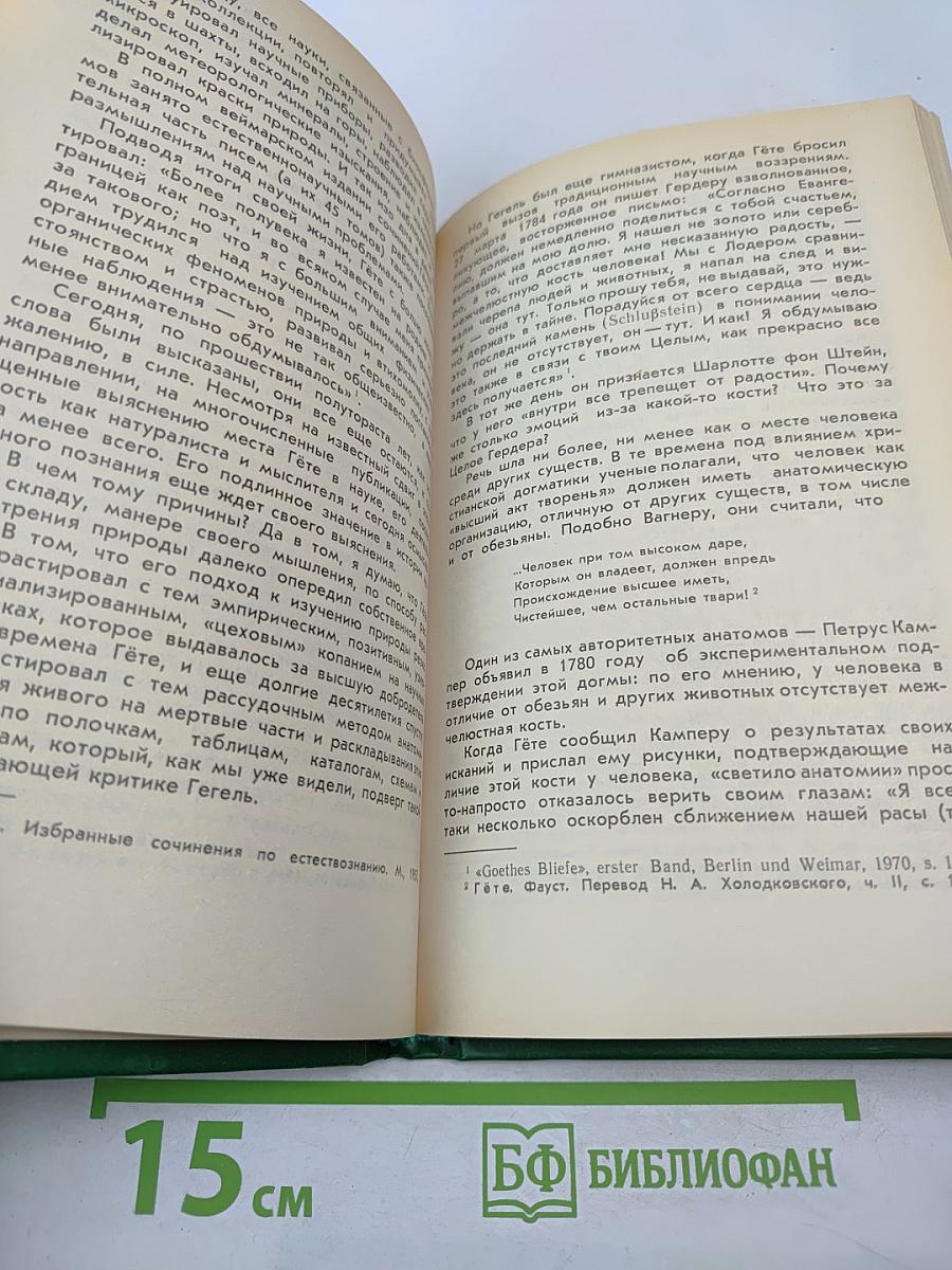 Сова Минервы