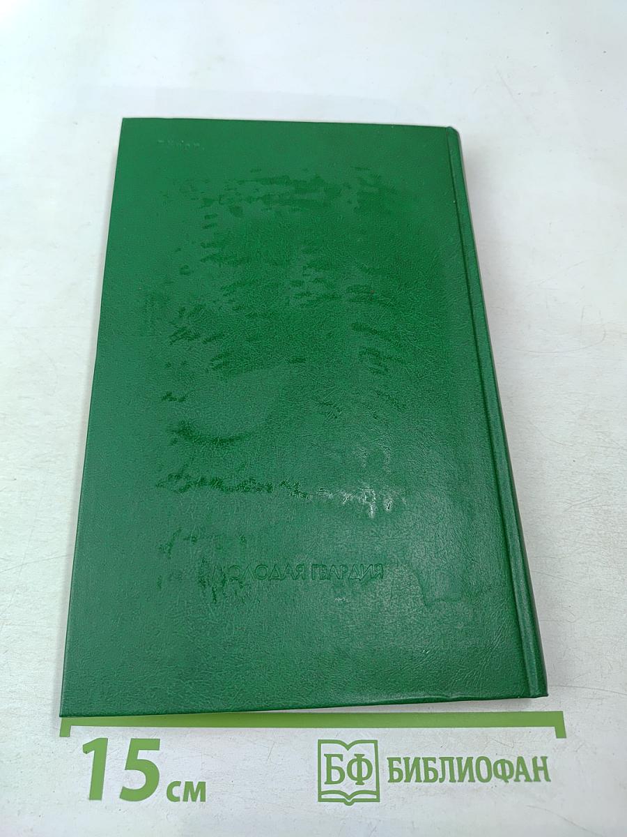 Сова Минервы