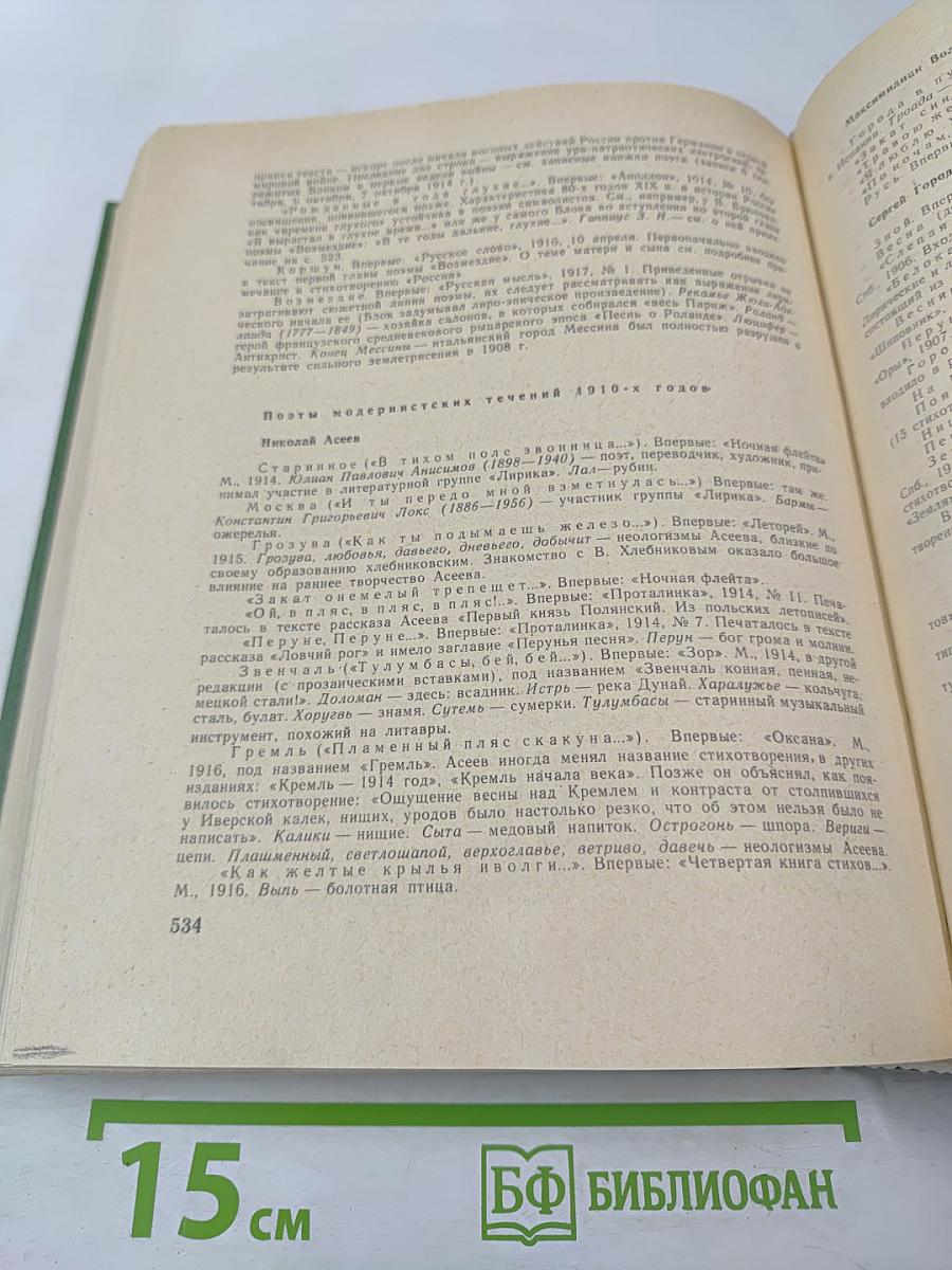 Русская поэзия конца XIX - начала XX века (дооктябрьский период)