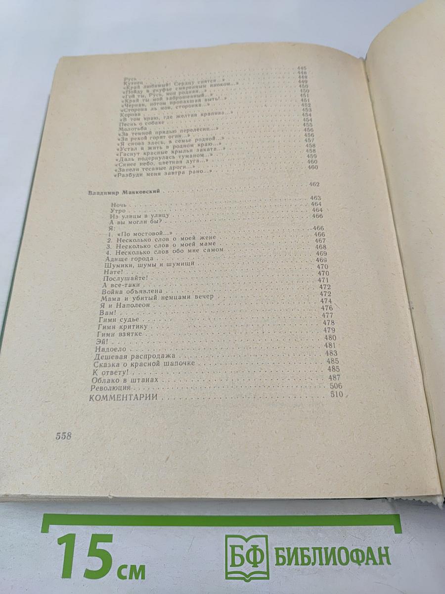 Русская поэзия конца XIX - начала XX века (дооктябрьский период)