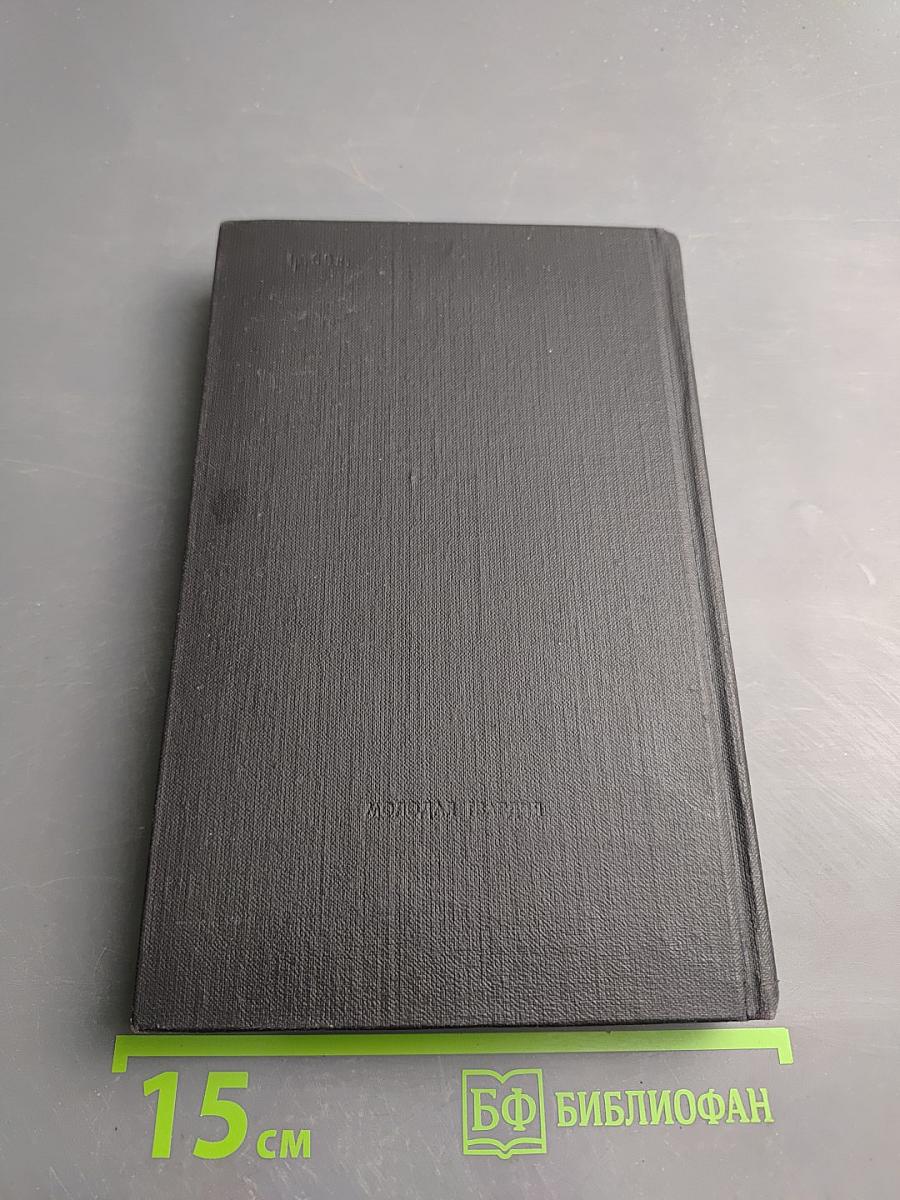 Перед лицом закона