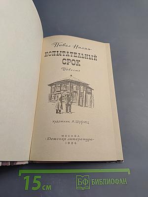 Испытательный срок