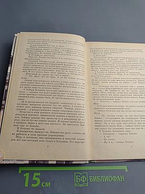 Испытательный срок