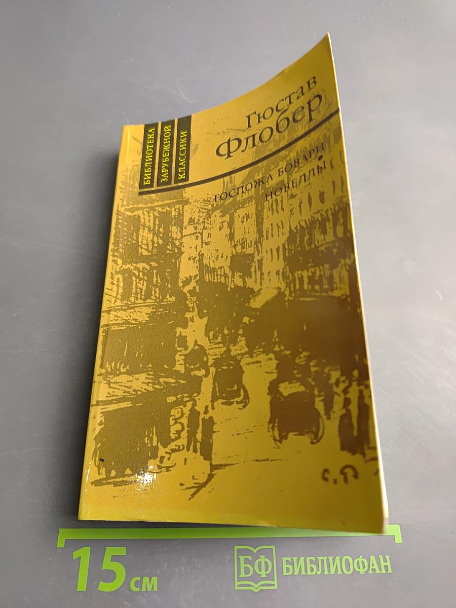 Госпожа Бовари. Новеллы