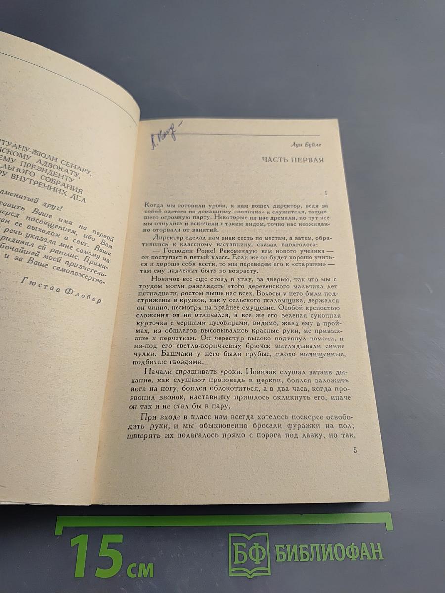 Госпожа Бовари. Новеллы