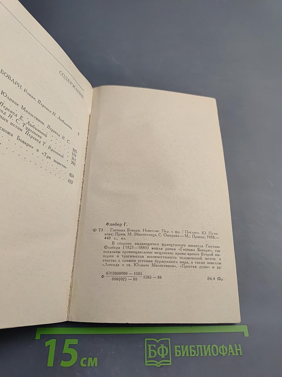 Госпожа Бовари. Новеллы