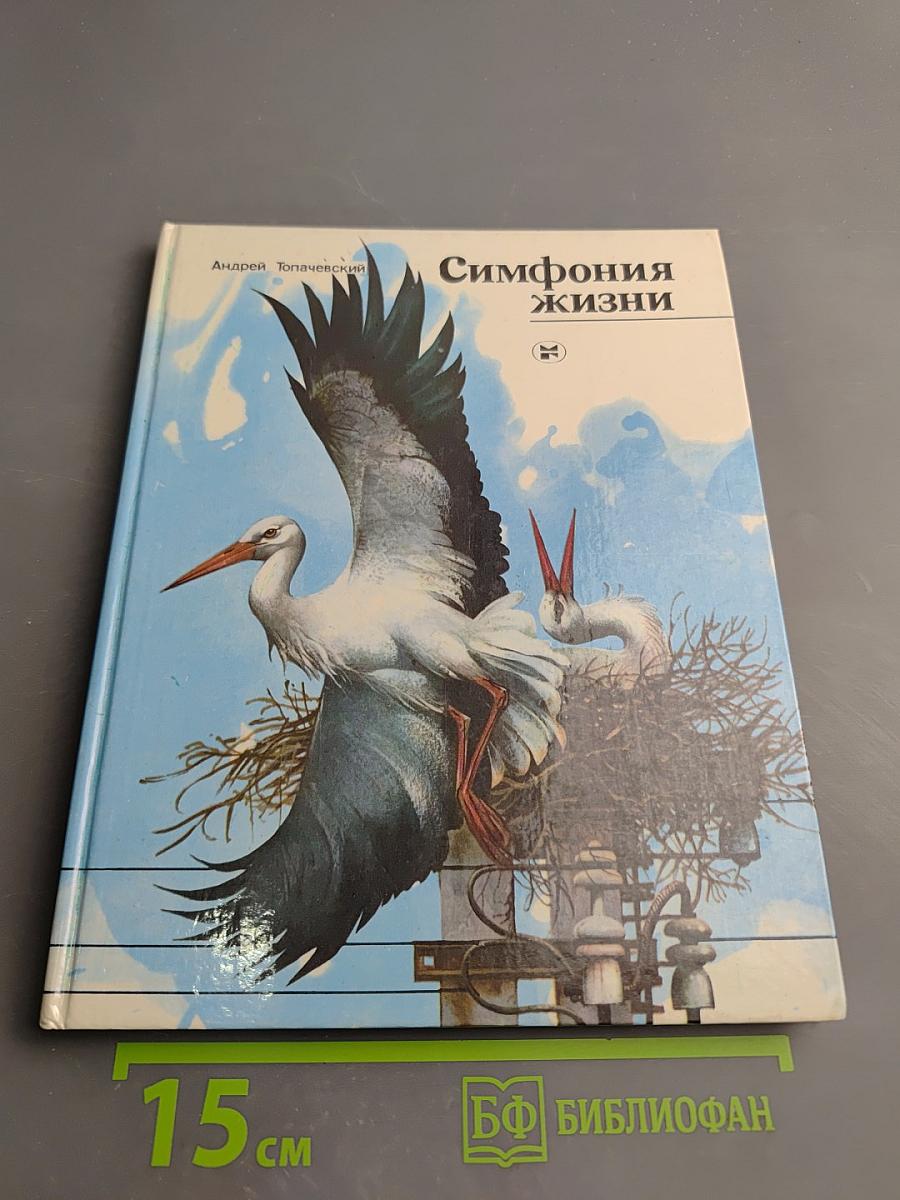 Симфония жизни