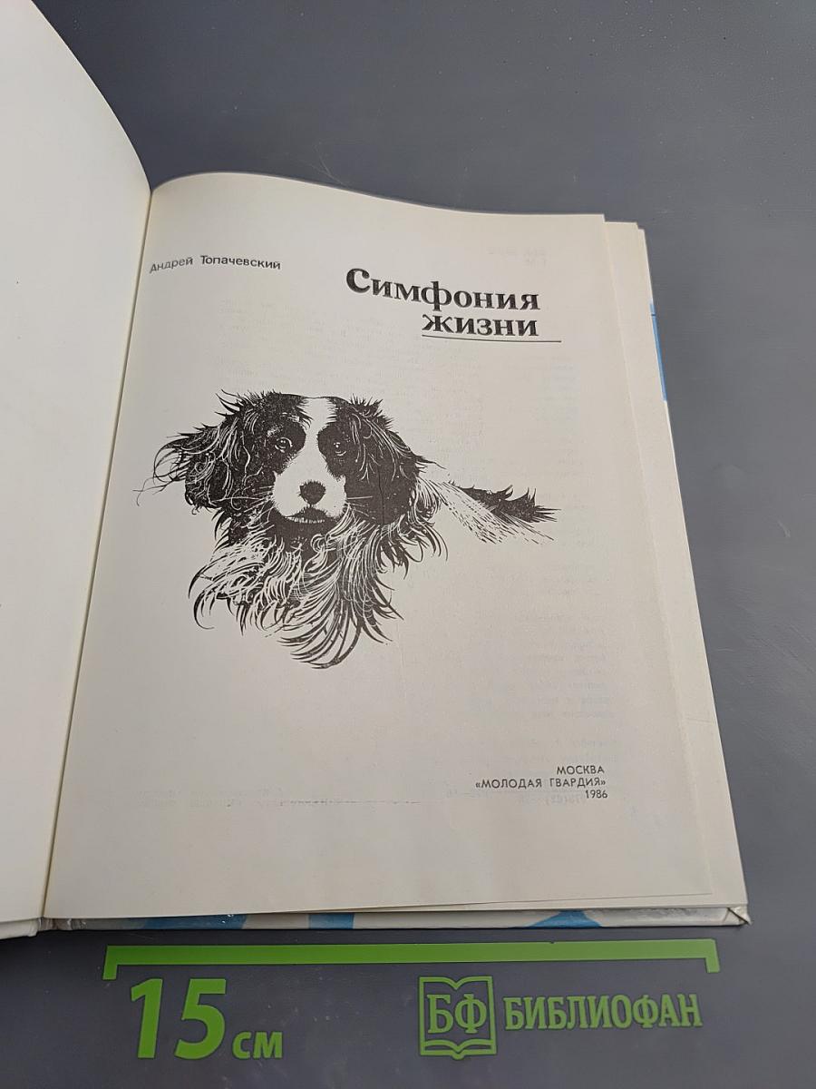 Симфония жизни