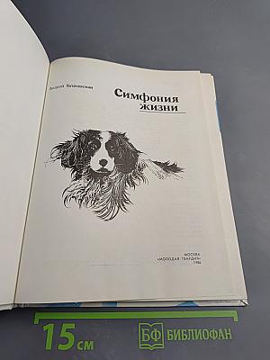 Симфония жизни