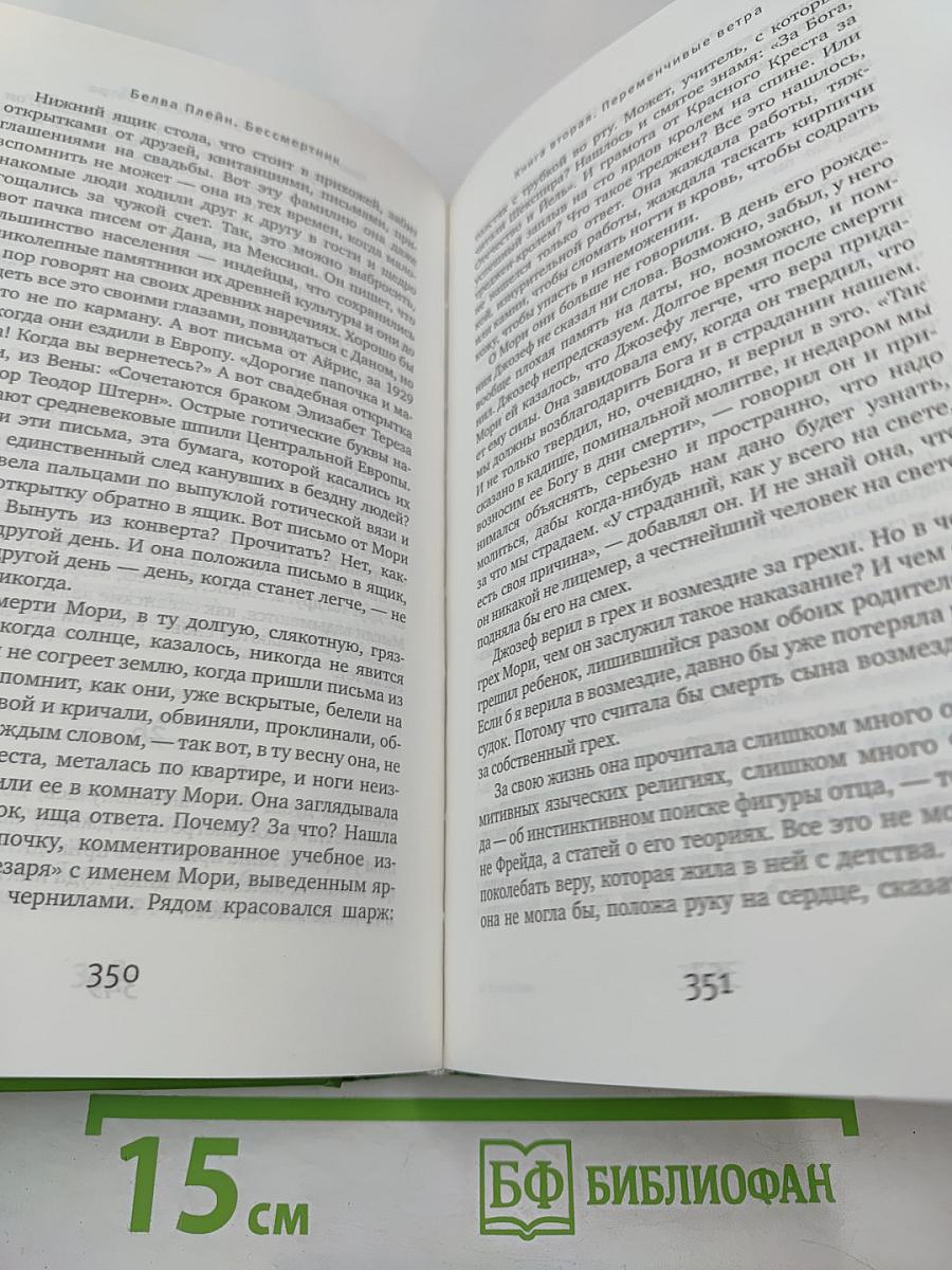 Бессмертник