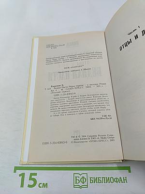 Бедная Настя. Через тернии — к звездам. Книга 4
