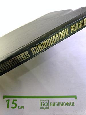 Жизнеописание схимонахини Рахили