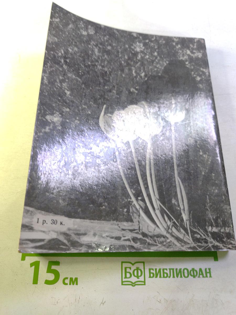 Вечный огонь памяти