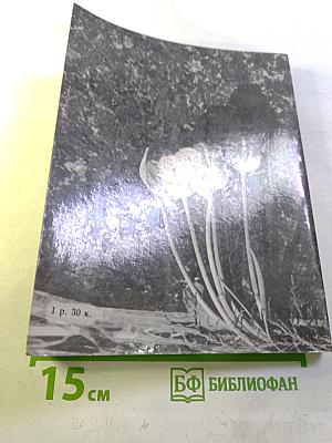 Вечный огонь памяти