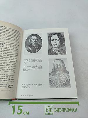 Румянцев в Петербурге