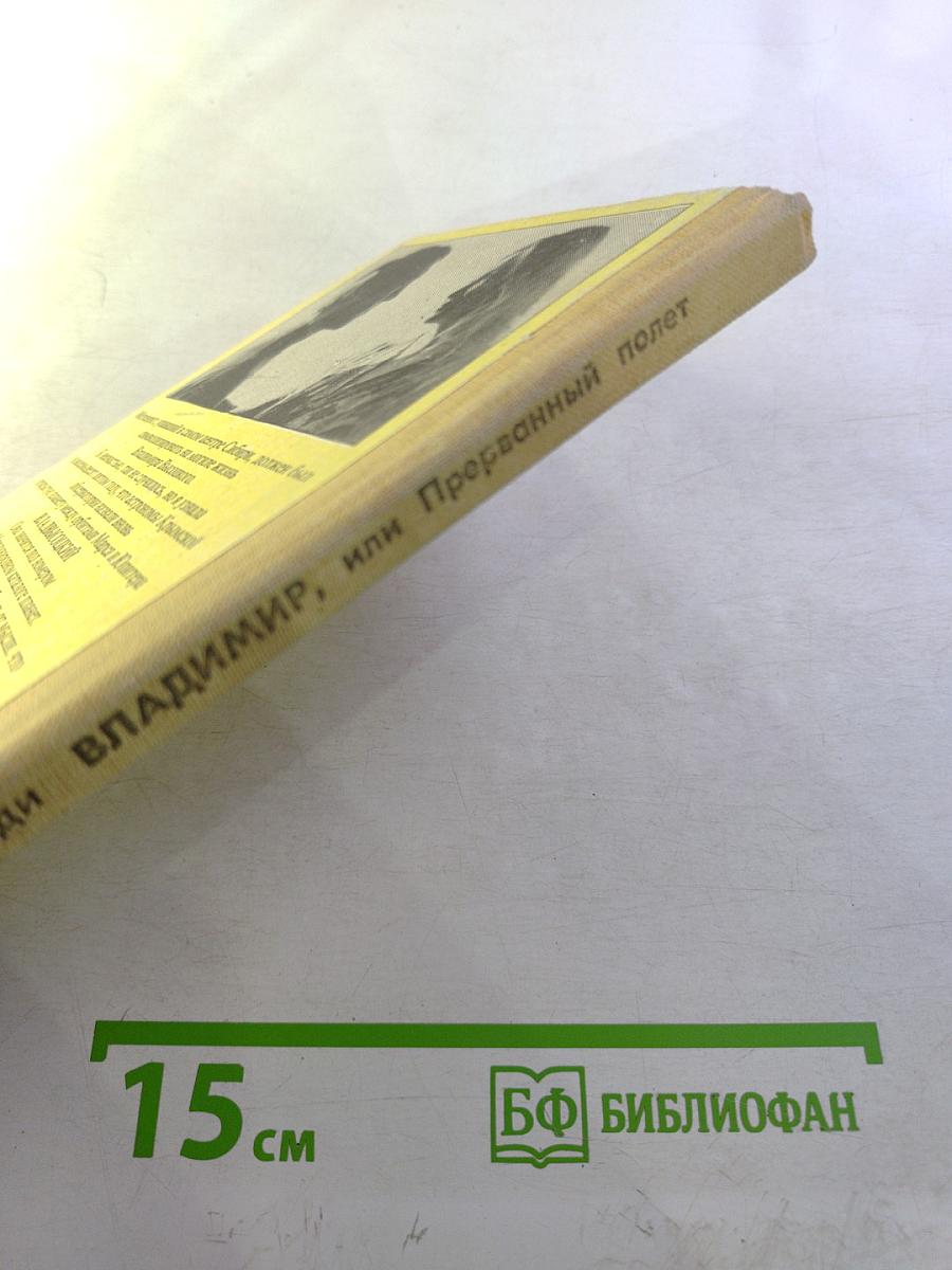 Владимир, или Прерванный полёт