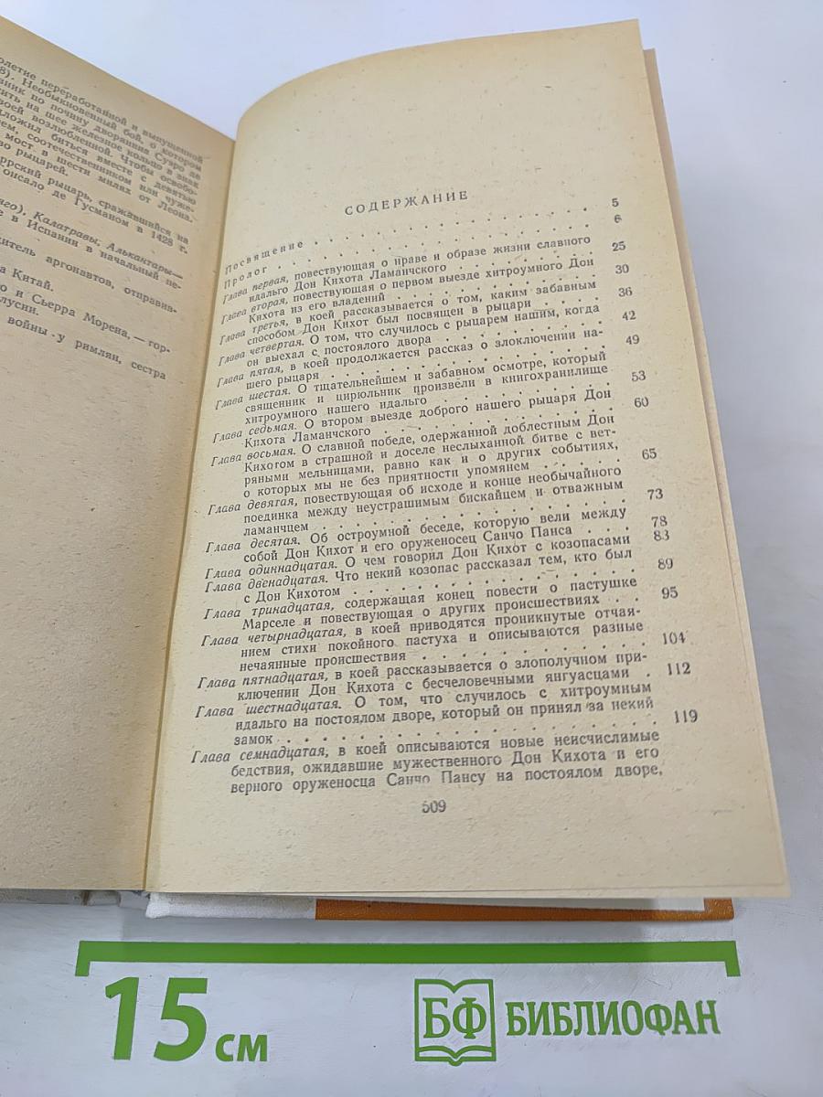 Дон Кихот Ламанчский. Часть первая