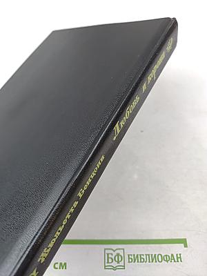 Любовь и корона. Книга первая