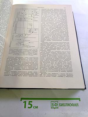 Большая Советская Энциклопедия. Том 45: Фидер - Фурберизм