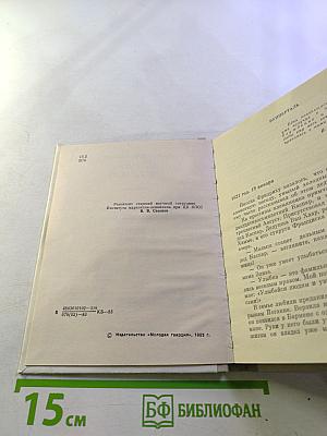 Солдат революции