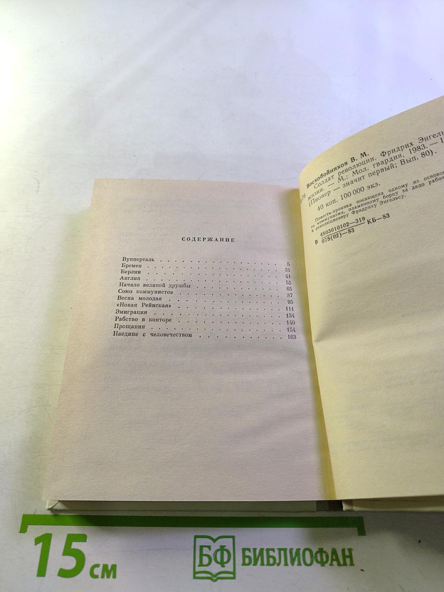 Солдат революции