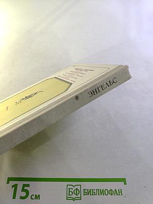 Солдат революции