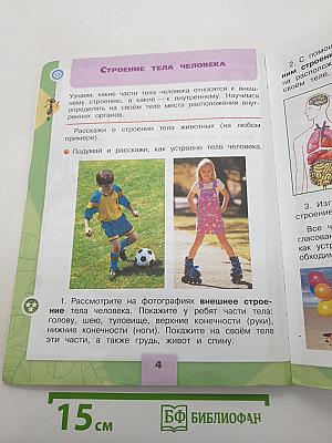 Окружающий мир. 2 класс. Часть 2