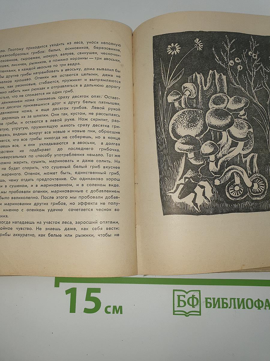 Третья охота